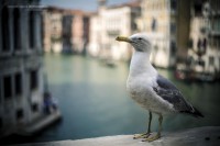 /album/landscapes/c7a2995-large-jpg/